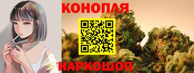 Альфа ПВП Майкоп