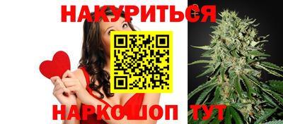 Альфа ПВП Майкоп