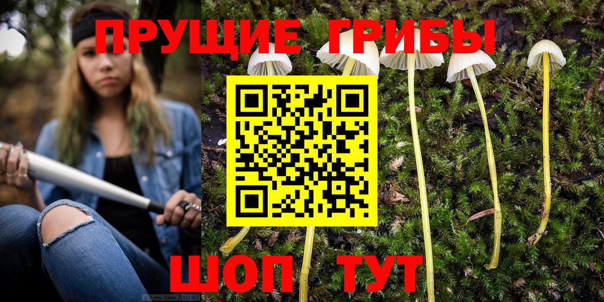Галлюциногенные грибы Psilocybine cubensis  Вход с VPN  Всеволожск 