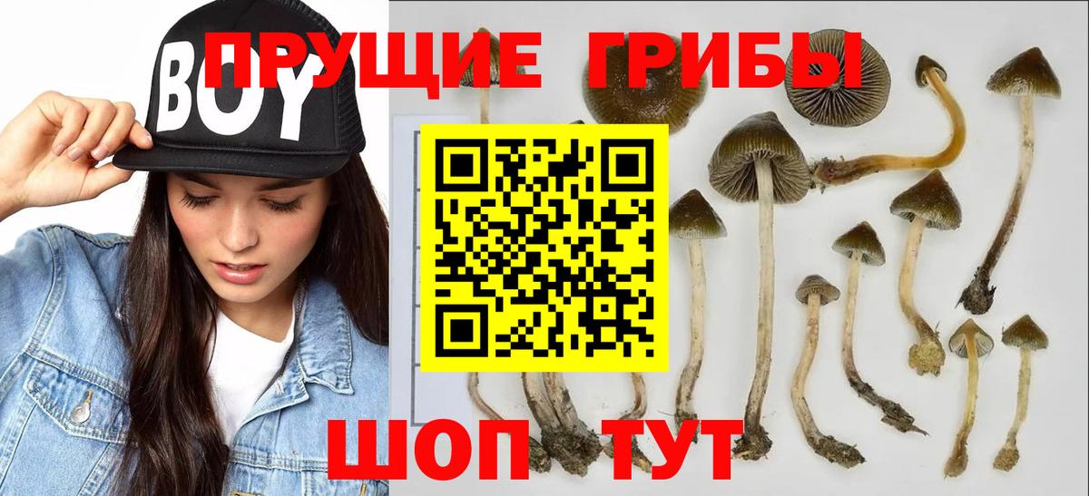 Галлюциногенные грибы MAGIC MUSHROOMS Всеволожск